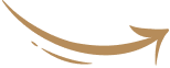 Destefano Law Group